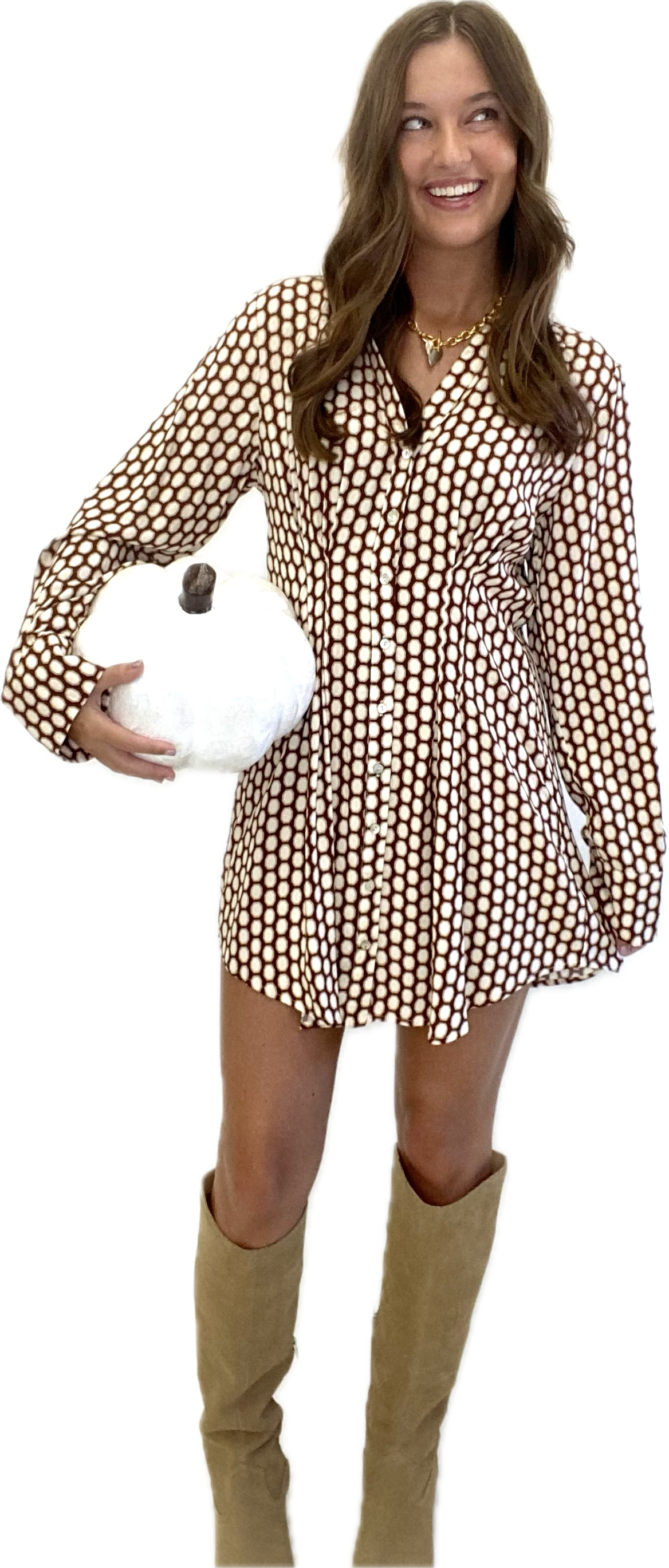 Dottie Shirt Dress