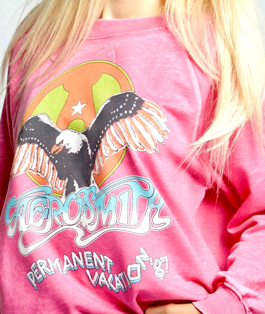 Aerosmith Sweatshirt