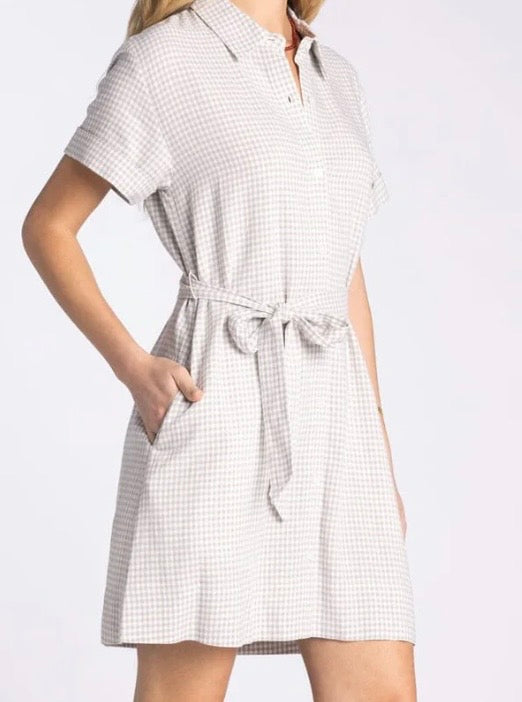 Caelis Shirt Dress