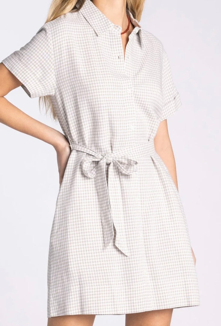 Caelis Shirt Dress