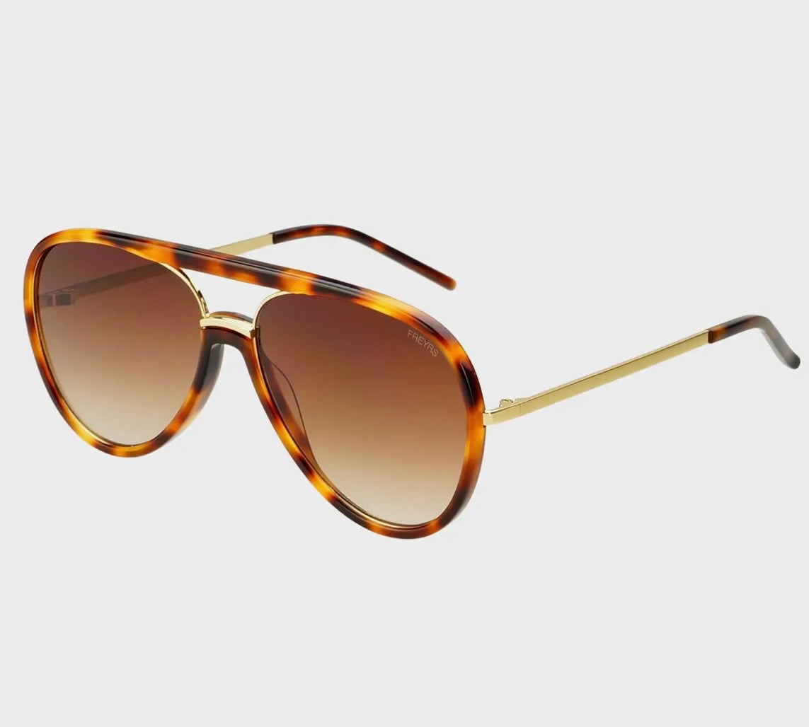 Shay Tortoise  Aviator