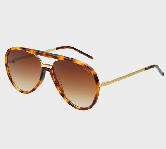 Shay Tortoise  Aviator